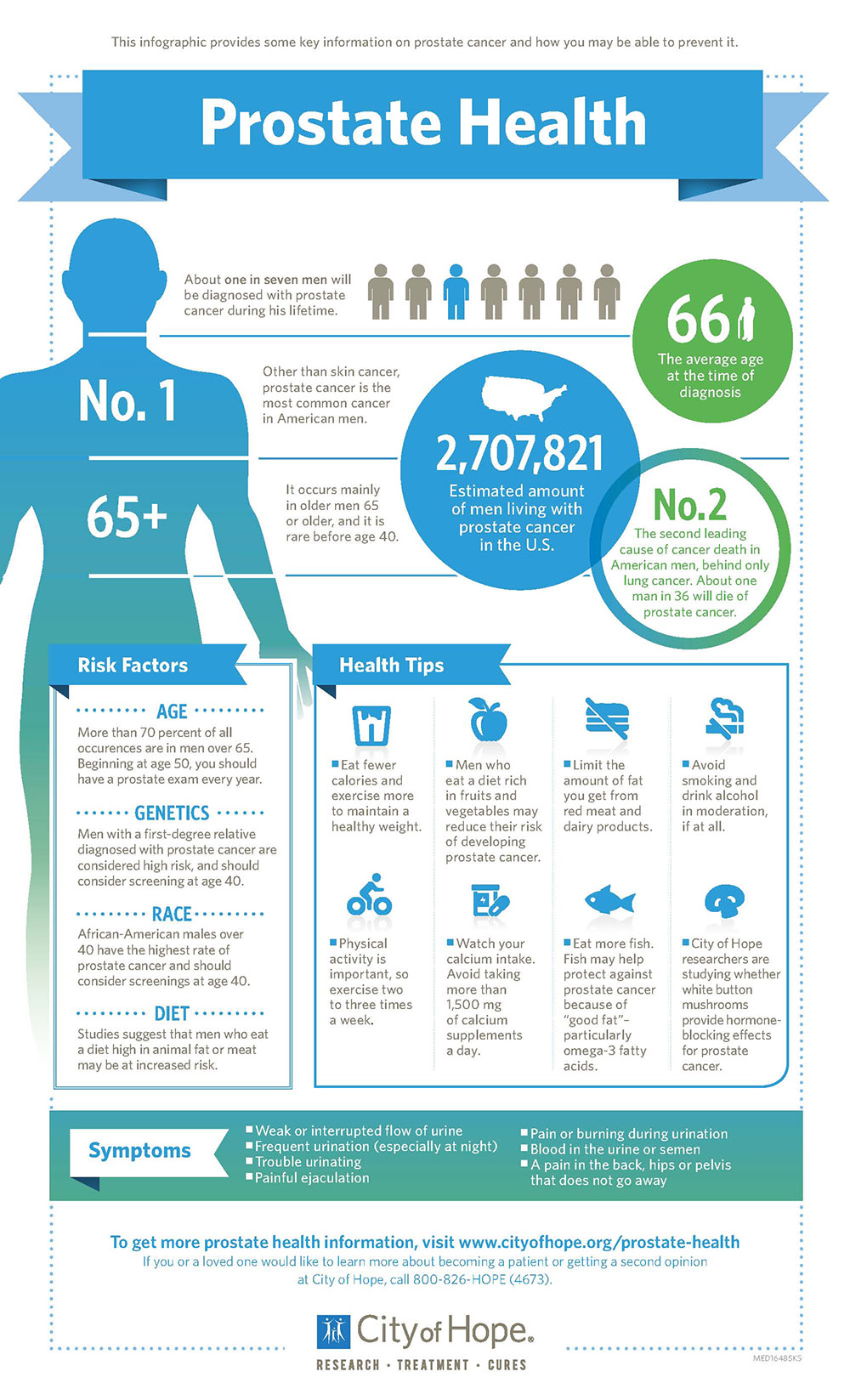 Infographic: Prostate Health | ecoNugenics Blog