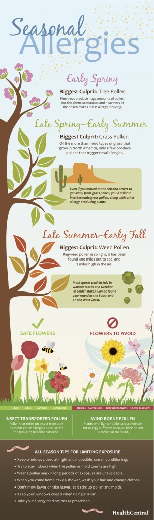 Infographic: Seasonal Allergies | ecoNugenics Blog