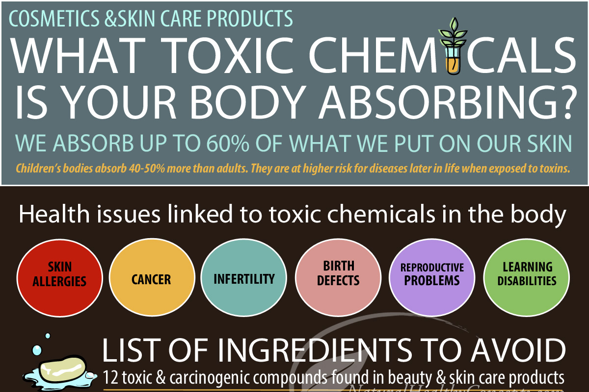 Infographic Which Toxic Chemicals Is Your Body Absorbing Econugenics Blog 7854