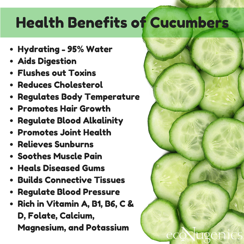 Infographic Health Benefits Of Cucumbers Econugenics Blog 4785