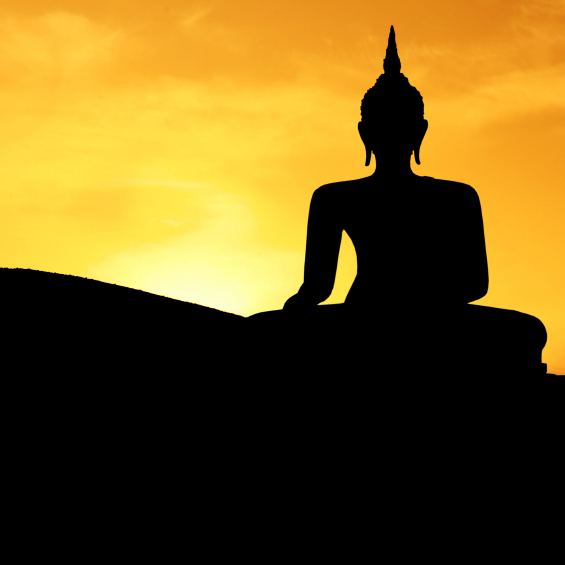 buddha-sunset | ecoNugenics Blog